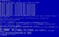 ros29-bsod2.gif