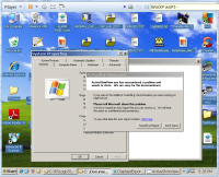 ActiveShimView_In_WinXP.png