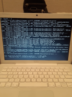 ReactOS (using Windows XP's usbhub) crash.jpg
