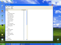 Luna_Active_window_Windows_XP.png