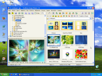 Windows_XP_2019-05-26_090244.png