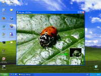 Windows_XP-2019-05-27_203518.png