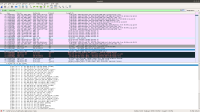 wireshark_without_ecdsa_report.png