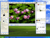 Windows-XP_2021-11-10_142910.png