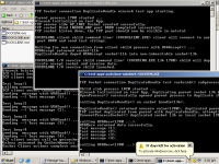 VirtualBox_W2K3-DuplicateHandle working.png