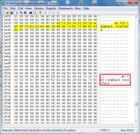 iphlpapi_dll_w2k3sp2_TCP_Loopback.png