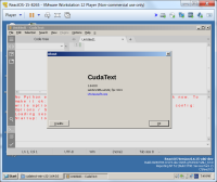 CudaText_Version_1.64.0.0.png