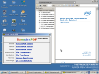 SumatraPDF Fixed 64.png
