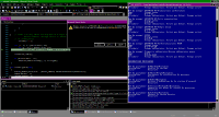 whoami_heap_corruption.png