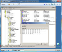 W2K3_Never_Opened_Explorer-ShellState.png